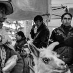 Peru Chivay goat