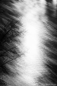Geneva Switzerland full moon night light reflection