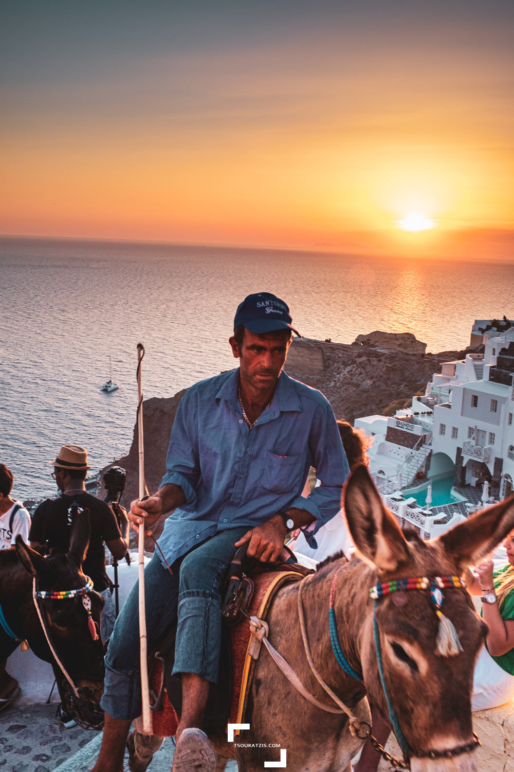 Santorini island Oia village donkey horse