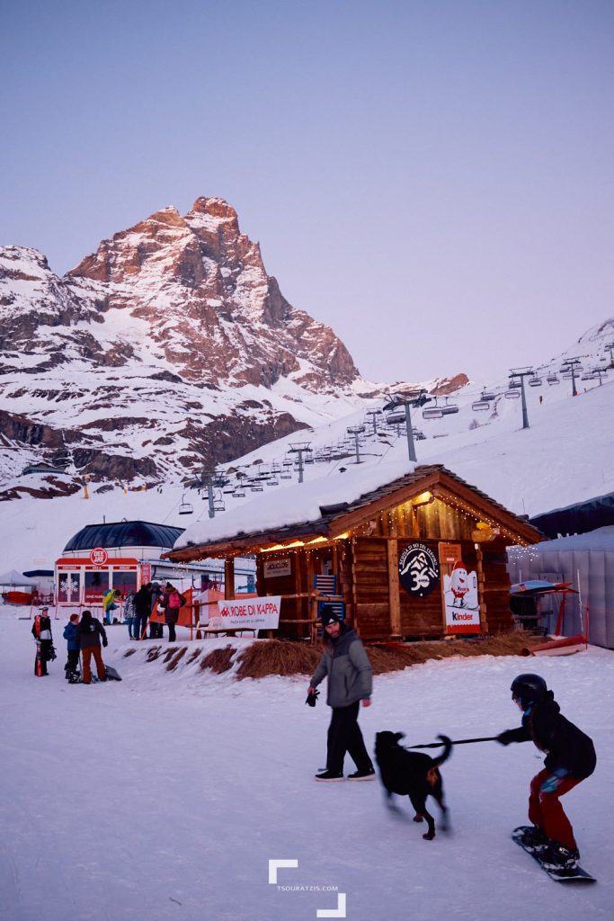 Dog snowboarding, Breuil-Cervinia ski station, Italian Alps, Cervino mountain