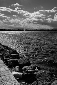 Geneva under the sun lake leman jet d eau