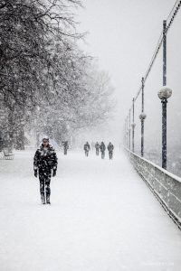 Snowfall in Geneva jardins Anglais Switzerland