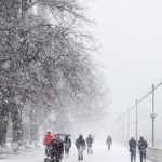 Geneva city snowfall winter rade de Geneve, Jardin Anglais