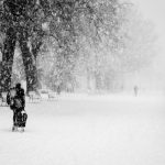 Geneva-city-snowfall-Jardin Anglais