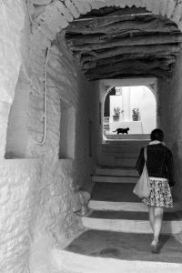Tinos island, woman and a cat